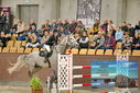 Filename=PT9_7171.JPG
Filesize=466KiB
Dimensions=1224x817
Date added=Oct 15, 2022 PT9_7171.JPG