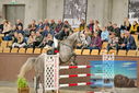 Filename=PT9_7172.JPG
Filesize=457KiB
Dimensions=1224x817
Date added=Oct 15, 2022 PT9_7172.JPG