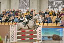 Filename=PT9_7173.JPG
Filesize=444KiB
Dimensions=1224x817
Date added=Oct 15, 2022 PT9_7173.JPG