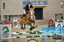 Filename=PT9_7178.JPG
Filesize=359KiB
Dimensions=1224x817
Date added=Oct 15, 2022 PT9_7178.JPG
