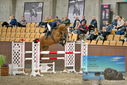 Filename=PT9_7181.JPG
Filesize=426KiB
Dimensions=1224x817
Date added=Oct 15, 2022 PT9_7181.JPG