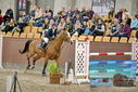 Filename=PT9_7183.JPG
Filesize=467KiB
Dimensions=1224x817
Date added=Oct 15, 2022 PT9_7183.JPG