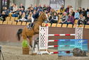 Filename=PT9_7184.JPG
Filesize=458KiB
Dimensions=1224x817
Date added=Oct 15, 2022 PT9_7184.JPG