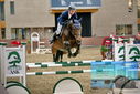 Filename=PT9_7196.JPG
Filesize=382KiB
Dimensions=1224x817
Date added=Oct 15, 2022 PT9_7196.JPG
