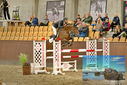 Filename=PT9_7215.JPG
Filesize=473KiB
Dimensions=1224x817
Date added=Oct 15, 2022 PT9_7215.JPG