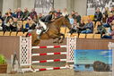 Filename=PT9_7217.JPG
Filesize=424KiB
Dimensions=1224x817
Date added=Oct 15, 2022 PT9_7217.JPG