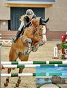 Filename=PT9_7227.jpg
Filesize=498KiB
Dimensions=877x1141
Date added=Oct 15, 2022 PT9_7227.jpg