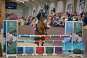 Filename=PT9_7657.JPG
Filesize=409KiB
Dimensions=1224x817
Date added=Oct 17, 2022 PT9_7657.JPG