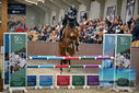 Filename=PT9_7658.JPG
Filesize=411KiB
Dimensions=1224x817
Date added=Oct 17, 2022 PT9_7658.JPG