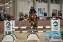 Filename=PT9_7661.JPG
Filesize=347KiB
Dimensions=1224x817
Date added=Oct 17, 2022 PT9_7661.JPG