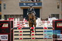 Filename=PT9_7663.JPG
Filesize=375KiB
Dimensions=1224x817
Date added=Oct 17, 2022 PT9_7663.JPG