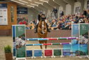 Filename=PT9_7683.JPG
Filesize=408KiB
Dimensions=1224x817
Date added=Oct 17, 2022 PT9_7683.JPG