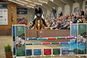 Filename=PT9_7685.JPG
Filesize=399KiB
Dimensions=1224x817
Date added=Oct 17, 2022 PT9_7685.JPG