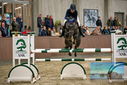 Filename=PT9_7702.JPG
Filesize=392KiB
Dimensions=1224x817
Date added=Oct 17, 2022 PT9_7702.JPG