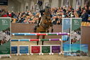 Filename=PT9_7708.JPG
Filesize=378KiB
Dimensions=1224x817
Date added=Oct 17, 2022 PT9_7708.JPG