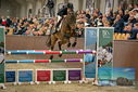 Filename=PT9_7709.JPG
Filesize=403KiB
Dimensions=1224x817
Date added=Oct 17, 2022 PT9_7709.JPG