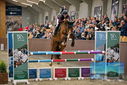 Filename=PT9_7717.JPG
Filesize=417KiB
Dimensions=1224x817
Date added=Oct 17, 2022 PT9_7717.JPG