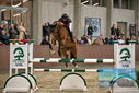 Filename=PT9_7719.JPG
Filesize=380KiB
Dimensions=1224x817
Date added=Oct 17, 2022 PT9_7719.JPG