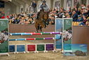 Filename=PT9_7725.JPG
Filesize=419KiB
Dimensions=1224x817
Date added=Oct 17, 2022 PT9_7725.JPG