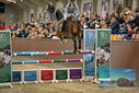 Filename=PT9_7726.JPG
Filesize=418KiB
Dimensions=1224x817
Date added=Oct 17, 2022 PT9_7726.JPG
