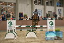 Filename=PT9_7727.JPG
Filesize=421KiB
Dimensions=1224x817
Date added=Oct 17, 2022 PT9_7727.JPG