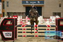 Filename=PT9_7731.JPG
Filesize=399KiB
Dimensions=1224x817
Date added=Oct 17, 2022 PT9_7731.JPG