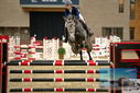 Filename=PT9_7743.JPG
Filesize=357KiB
Dimensions=1224x817
Date added=Oct 17, 2022 PT9_7743.JPG