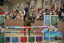 Filename=PT9_7745.JPG
Filesize=401KiB
Dimensions=1224x817
Date added=Oct 17, 2022 PT9_7745.JPG