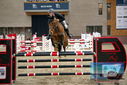Filename=PT9_7753.JPG
Filesize=359KiB
Dimensions=1224x817
Date added=Oct 17, 2022 PT9_7753.JPG
