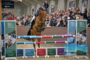 Filename=PT9_7764.JPG
Filesize=409KiB
Dimensions=1224x817
Date added=Oct 17, 2022 PT9_7764.JPG