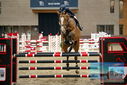 Filename=PT9_7776.JPG
Filesize=386KiB
Dimensions=1224x817
Date added=Oct 17, 2022 PT9_7776.JPG