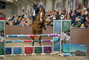 Filename=PT9_7779.JPG
Filesize=416KiB
Dimensions=1224x817
Date added=Oct 17, 2022 PT9_7779.JPG