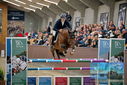 Filename=PT9_7798.JPG
Filesize=386KiB
Dimensions=1224x817
Date added=Oct 17, 2022 PT9_7798.JPG