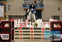Filename=PT9_7805.JPG
Filesize=384KiB
Dimensions=1224x817
Date added=Oct 17, 2022 PT9_7805.JPG