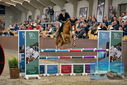 Filename=PT9_7817.JPG
Filesize=425KiB
Dimensions=1224x817
Date added=Oct 17, 2022 PT9_7817.JPG
