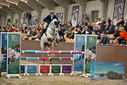 Filename=PT9_7827.JPG
Filesize=429KiB
Dimensions=1224x817
Date added=Oct 17, 2022 PT9_7827.JPG
