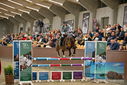Filename=PT9_7831.JPG
Filesize=428KiB
Dimensions=1224x817
Date added=Oct 17, 2022 PT9_7831.JPG