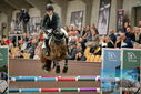 Filename=PT9_7835.JPG
Filesize=341KiB
Dimensions=1224x817
Date added=Oct 17, 2022 PT9_7835.JPG