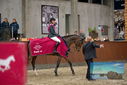 Filename=PT9_7836.JPG
Filesize=395KiB
Dimensions=1224x817
Date added=Oct 17, 2022 PT9_7836.JPG