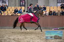 Filename=PT9_7866.JPG
Filesize=438KiB
Dimensions=1224x817
Date added=Oct 17, 2022 PT9_7866.JPG