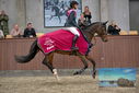Filename=PT9_7871.JPG
Filesize=399KiB
Dimensions=1224x817
Date added=Oct 17, 2022 PT9_7871.JPG