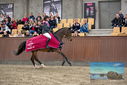 Filename=PT9_7875.JPG
Filesize=442KiB
Dimensions=1224x817
Date added=Oct 17, 2022 PT9_7875.JPG