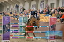 Filename=PT9_7942.JPG
Filesize=441KiB
Dimensions=1224x817
Date added=Oct 17, 2022 PT9_7942.JPG