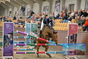 Filename=PT9_7943.JPG
Filesize=443KiB
Dimensions=1224x817
Date added=Oct 17, 2022 PT9_7943.JPG