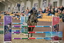 Filename=PT9_7956.JPG
Filesize=430KiB
Dimensions=1224x817
Date added=Oct 17, 2022 PT9_7956.JPG