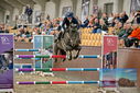 Filename=PT9_7957.JPG
Filesize=406KiB
Dimensions=1224x817
Date added=Oct 17, 2022 PT9_7957.JPG