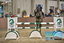 Filename=PT9_7958.JPG
Filesize=400KiB
Dimensions=1224x817
Date added=Oct 17, 2022 PT9_7958.JPG