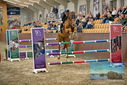 Filename=PT9_7969.JPG
Filesize=469KiB
Dimensions=1224x817
Date added=Oct 17, 2022 PT9_7969.JPG