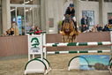 Filename=PT9_7972.JPG
Filesize=396KiB
Dimensions=1224x817
Date added=Oct 17, 2022 PT9_7972.JPG
