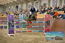 Filename=PT9_7984.JPG
Filesize=468KiB
Dimensions=1224x817
Date added=Oct 17, 2022 PT9_7984.JPG